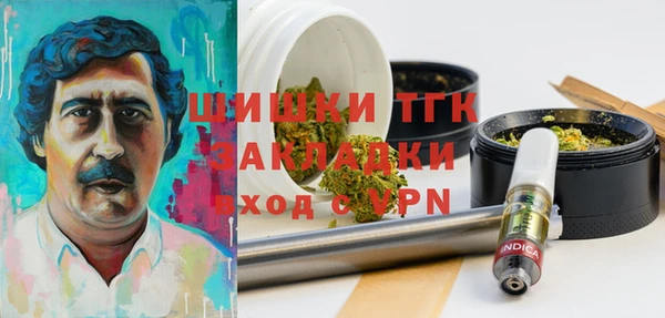 2c-b Богородицк
